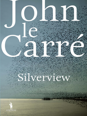 Silverview - ebook